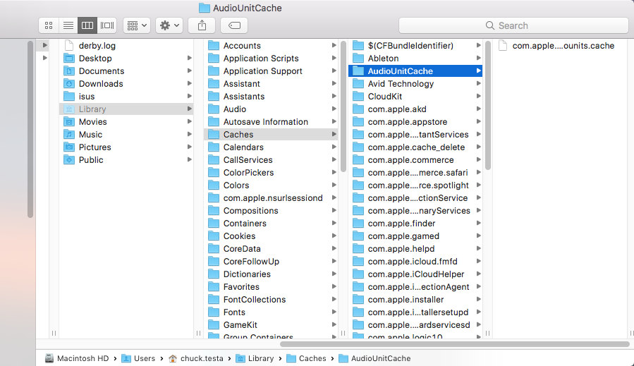 ClearAudioUnitCache2.png